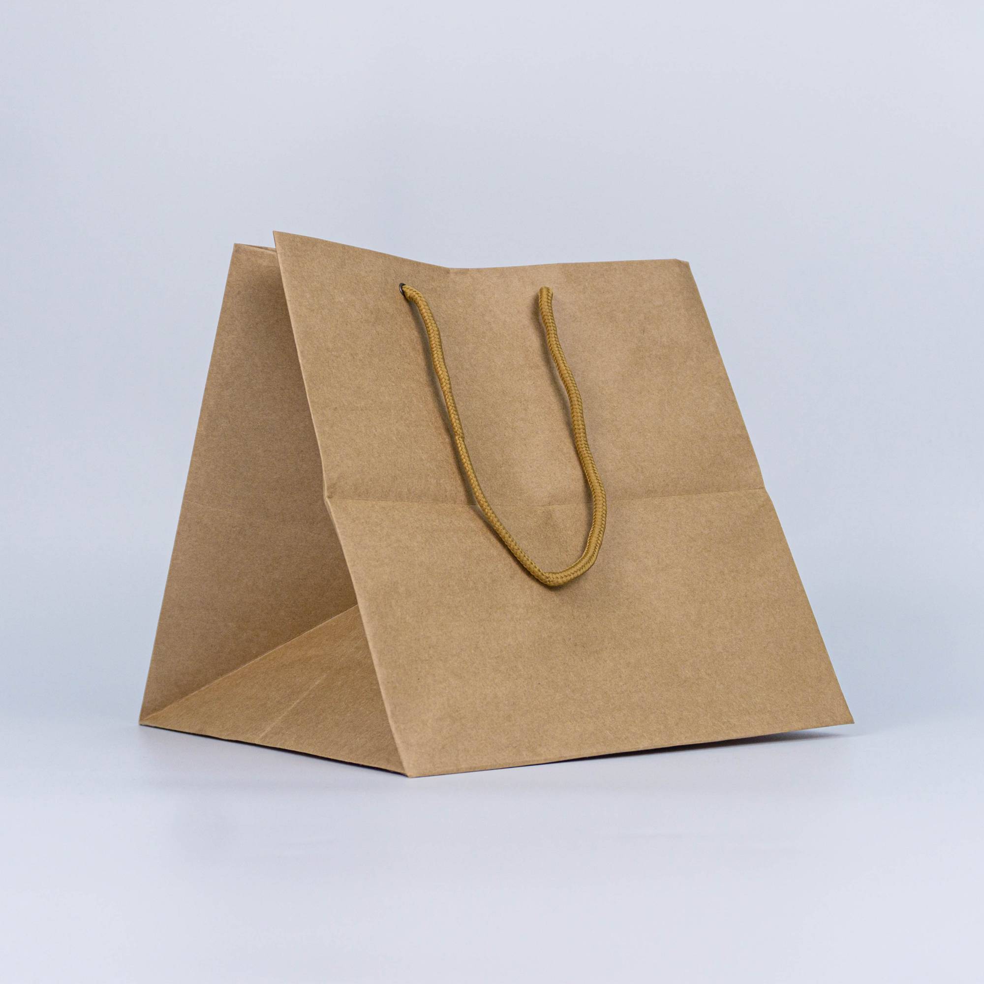Brown Paper Bag with Twisted Handle (25cm x 24.5cm x 24.5cm) PACK25