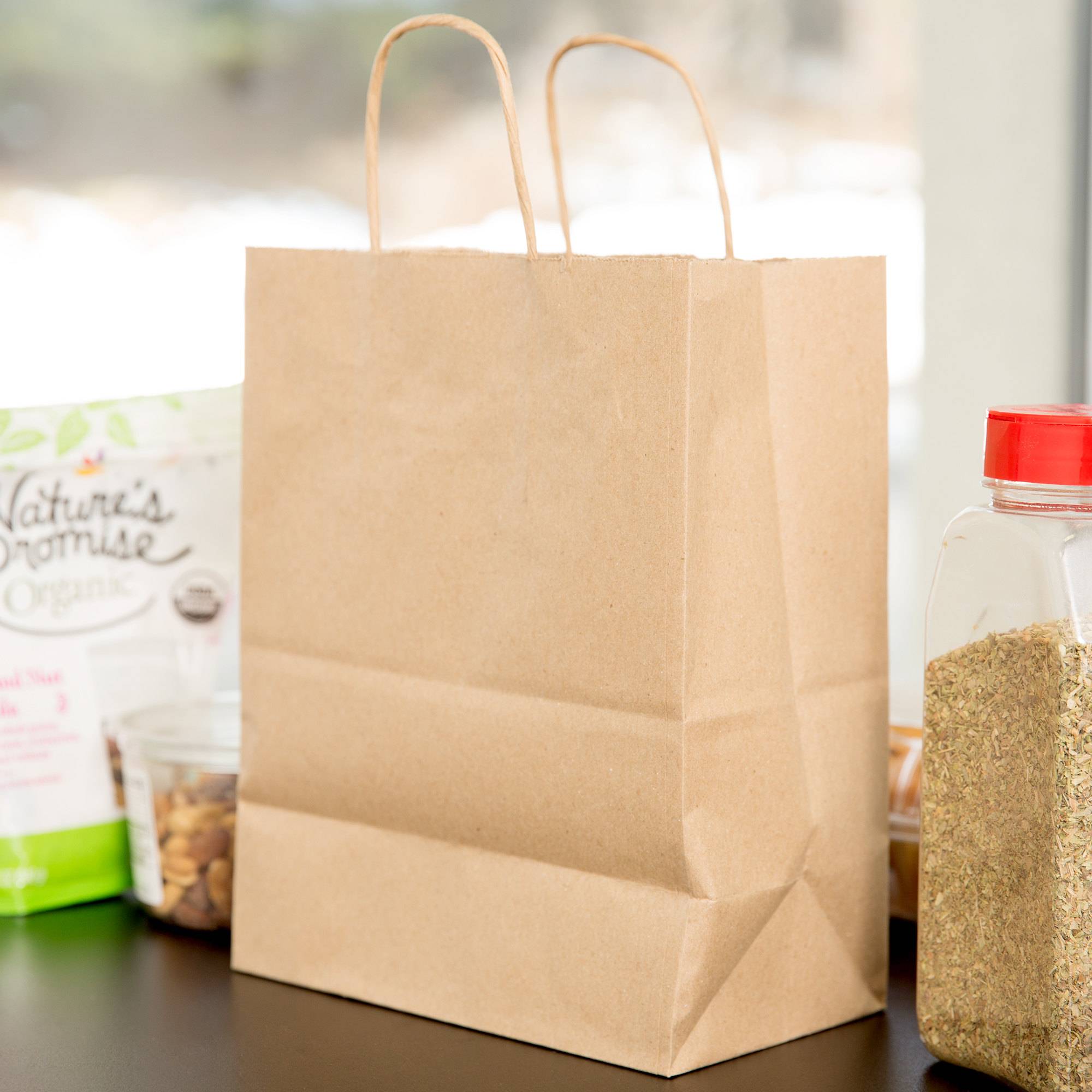 Brown Paper Bag with Twisted Handle (28cm x 28cm x 15cm)