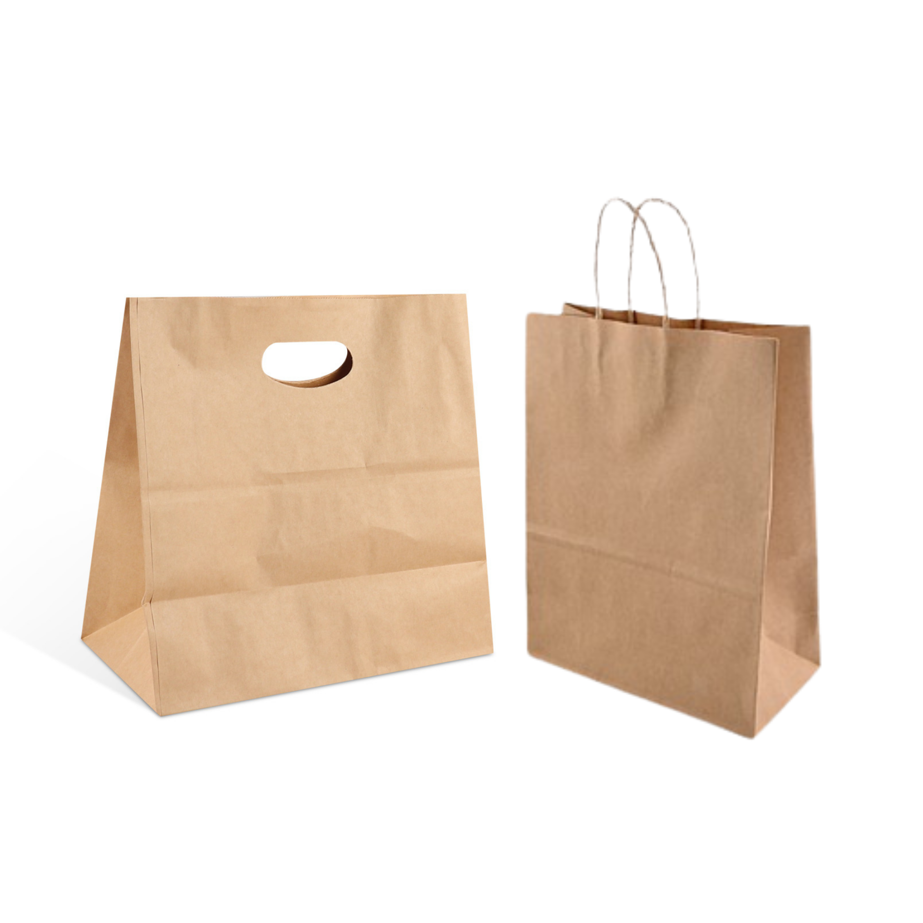 Dcut Paper Carry Bag